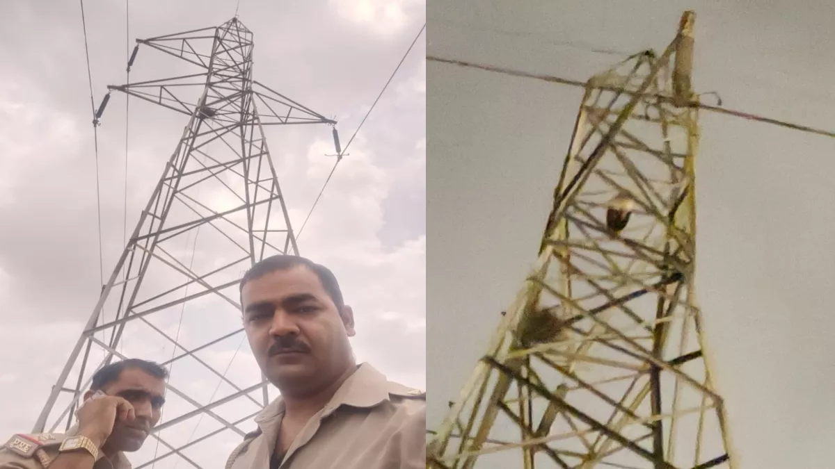 Agra News: हाईटेंशन लाइन के टावर पर खतरे में थी मोर की जिंदगी, एक ट्वीट से पुलिस ने बचाई जान