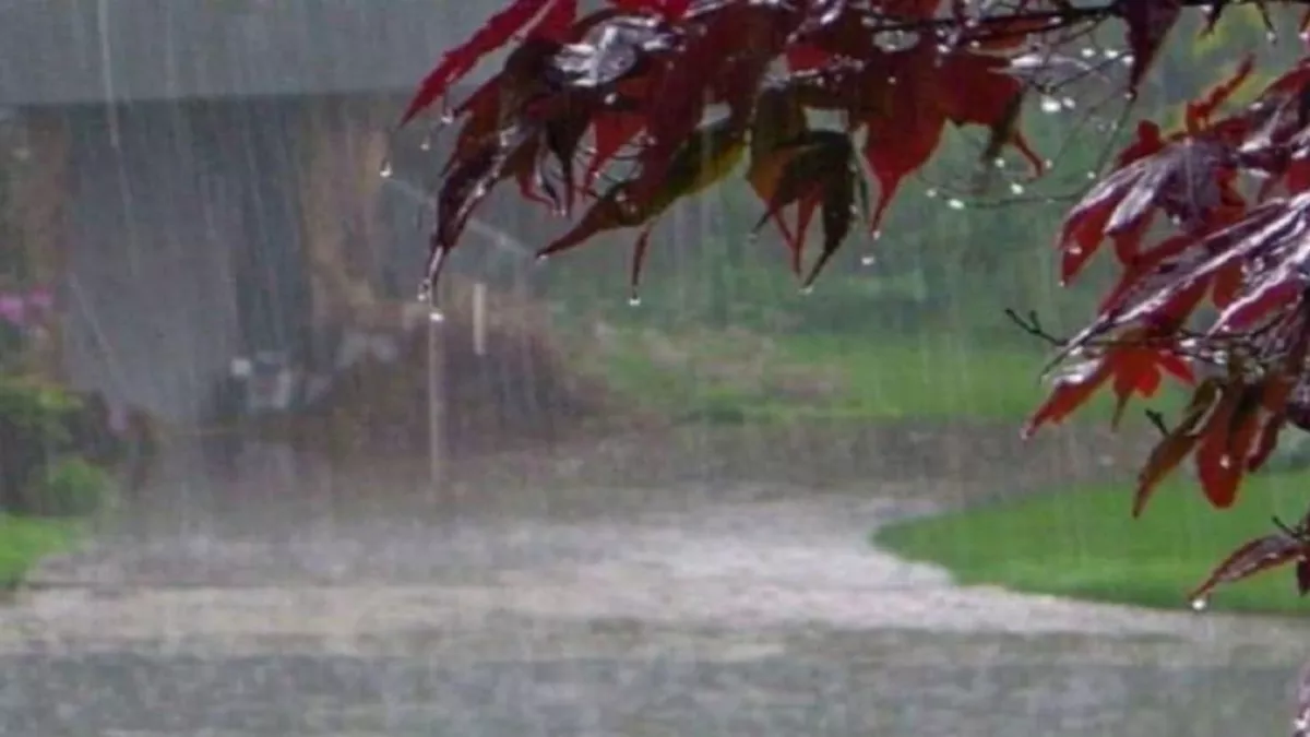 बारिश को लेकर मौसम विभाग ने दी चेतावनी, हरियाणा सहित इन राज्‍यों में भारी बारिश की संभावना
