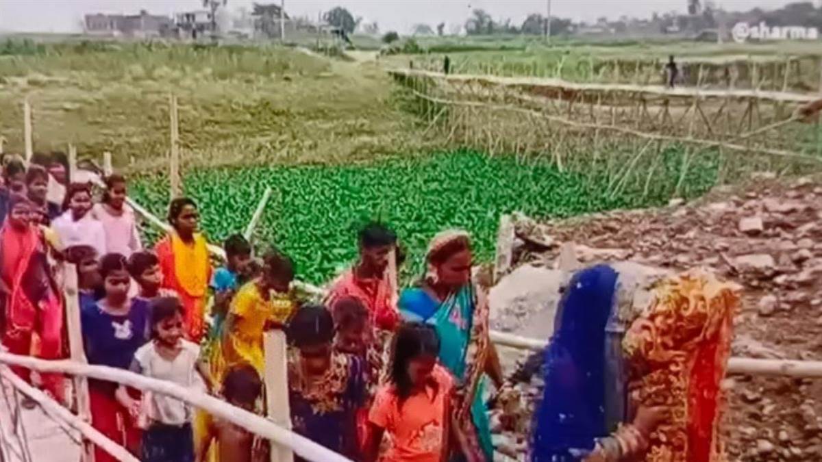 News Article Hero Image