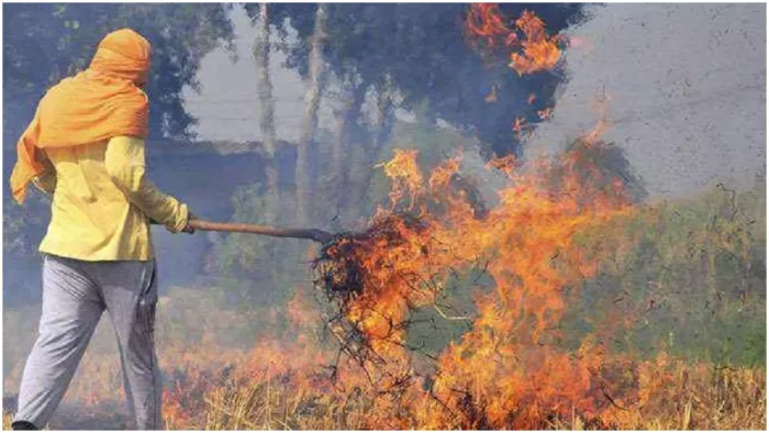 पराली प्रबंधन पर केंद्र के साथ मिलकर रणनीति बनाएंगे पंजाब, उत्तर प्रदेश, हरियाणा व दिल्ली