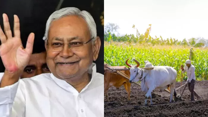 पैक्स को धान खरीद में आ रही परेशानियां होगी दूर, सहकारिता मंत्री का एलान। फोटो- जागरण