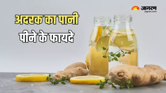 Ginger Water से मिलेंगे सेहत को कई फायदे (Picture Courtesy: Freepik)