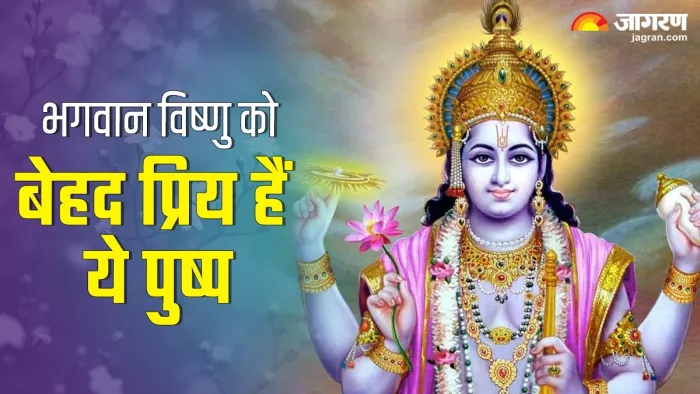 Yogini Ekadashi 2024: विष्णु भगवान को अर्पित करें ये फूल -