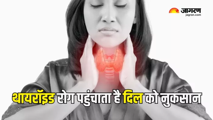 थायरॉइड ग्लैंड का दिल पर क्या प्रभाव पड़ता है? (Picture Courtesy: Freepik)