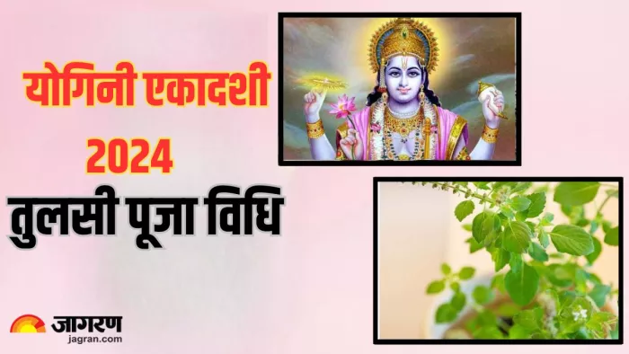 Yogini Ekadashi 2024: योगिनी एकादशी पर करें तुलसी की पूजा