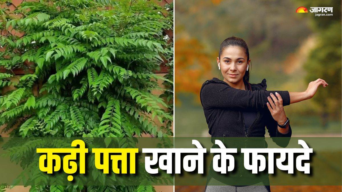 https://www.jagranimages.com/images/newimg/01072025/01_07_2025-curry_leaves_benefits_1_23971991.jpg