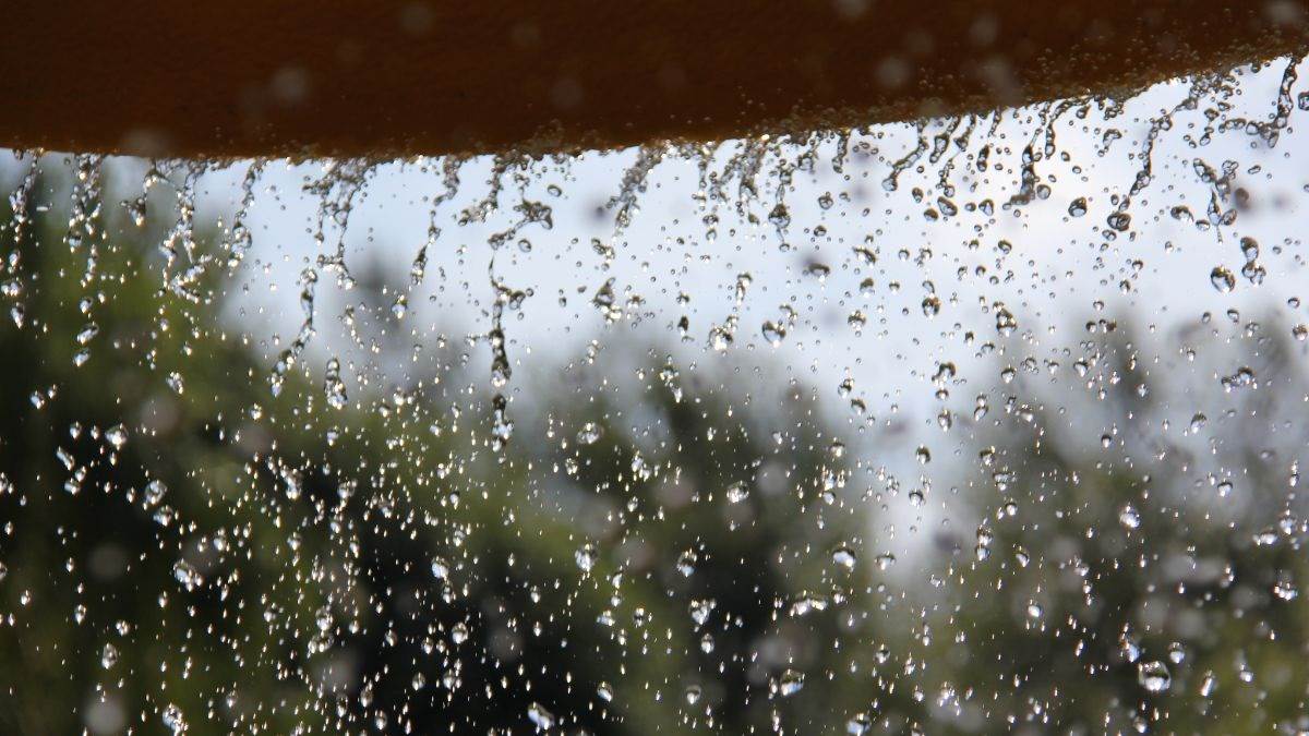 https://www.jagranimages.com/images/newimg/01072025/01_07_2025-rain_generic_23972032.jpg