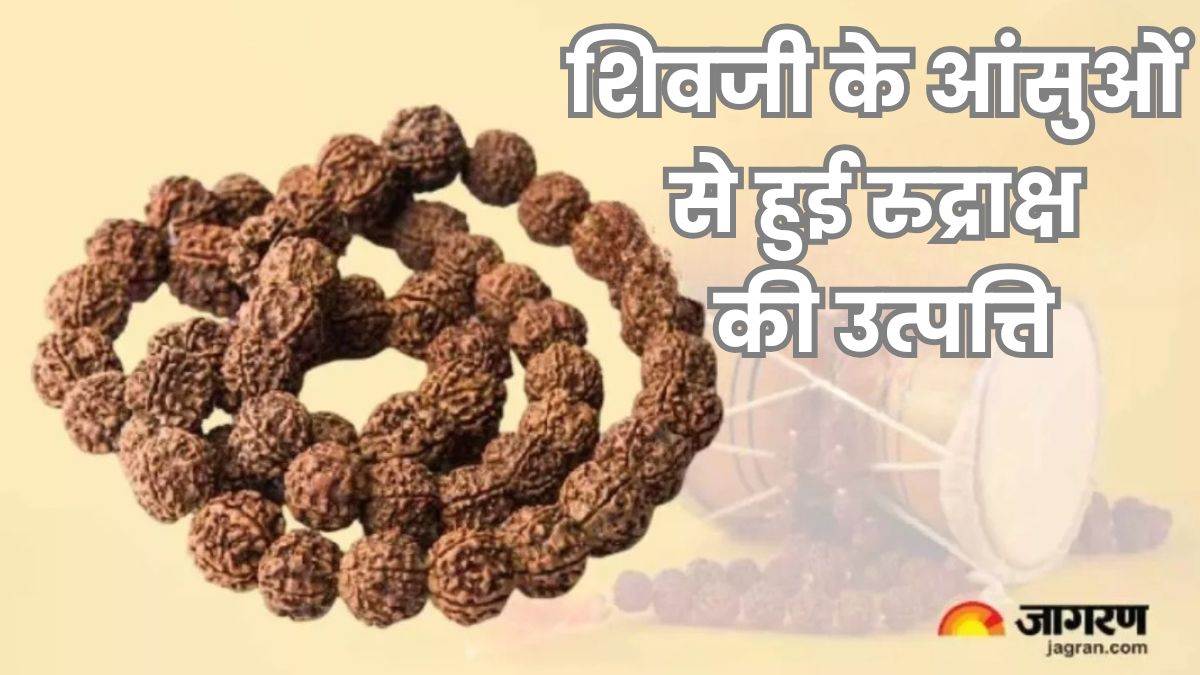 rudraksha significance benefits and rules for wearing
