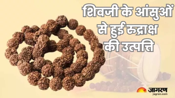 रुद्राक्ष धारण करने से भोलेनाथ की होती है विशेष कृपा।