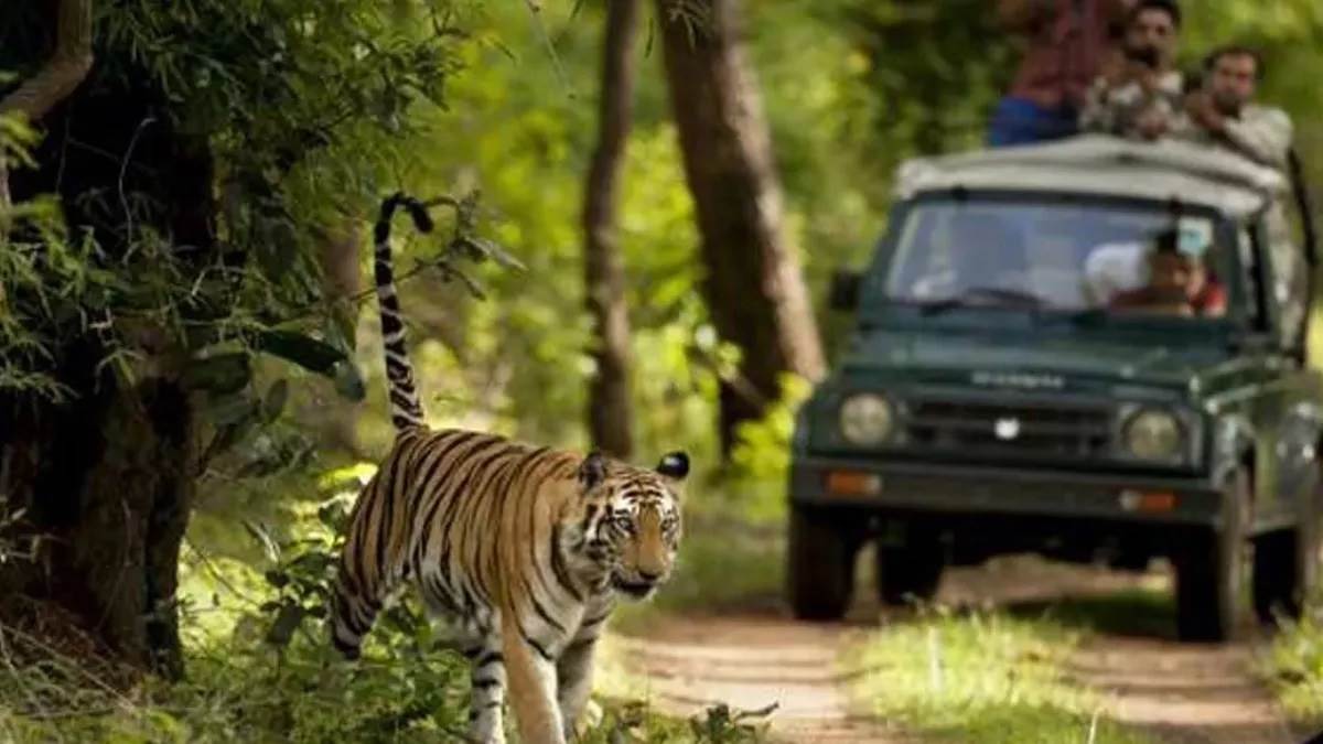 https://www.jagranimages.com/images/newimg/01072025/01_07_2025-valmiki_tiger_reserve_bihar_1_23972150.jpg