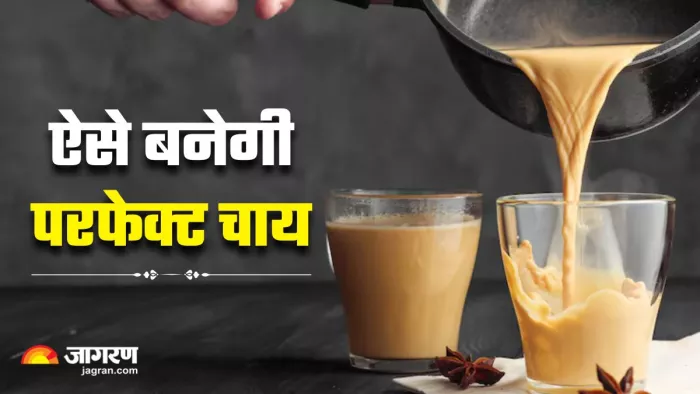 क्या है चाय बनाने का सही तरीका? (Image Source: Freepik)