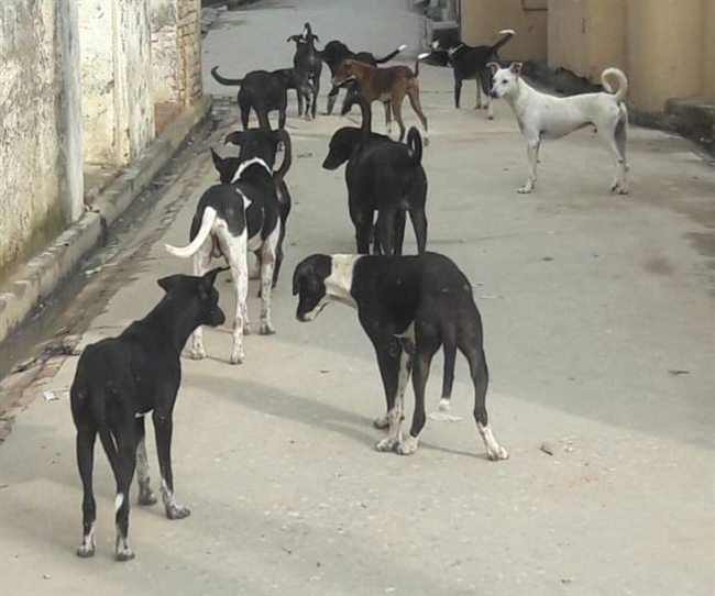 News Article Hero Image