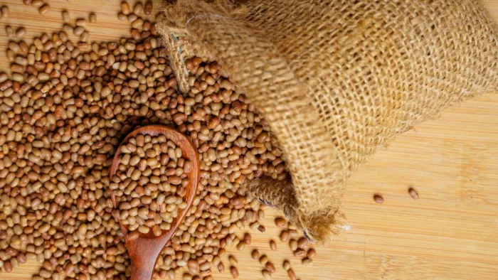 Moth Dal Benefits: हेल्दी रहने के लिए इस दाल को करें डाइट में शामिल