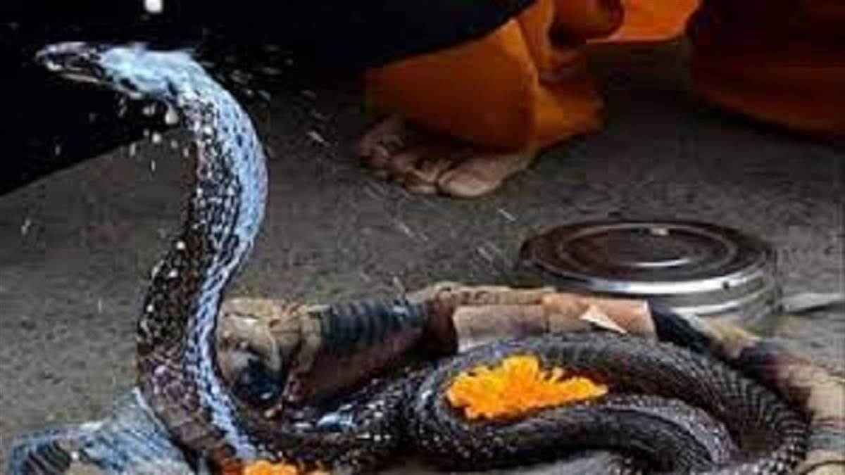 Nag Panchami 2022: बामनौली के संकटमोचक है मंदिर में बैठे नागबाबा, 300 साल  पुराना है मंद‍िर - Nag Panchami 2022 300 year old Nageshwar temple of  Baghpat is believed to solve the problems of people