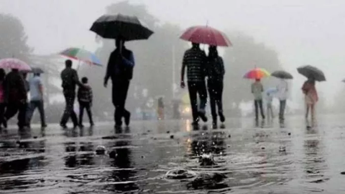 22 सालों में पहली बार जुलाई में रिकॉर्ड 231.8 मिलीमीटर बारिश।