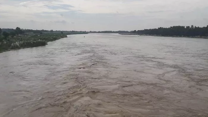 प्रस्तुति के लिए इस्तेमाल की गई तस्वीर