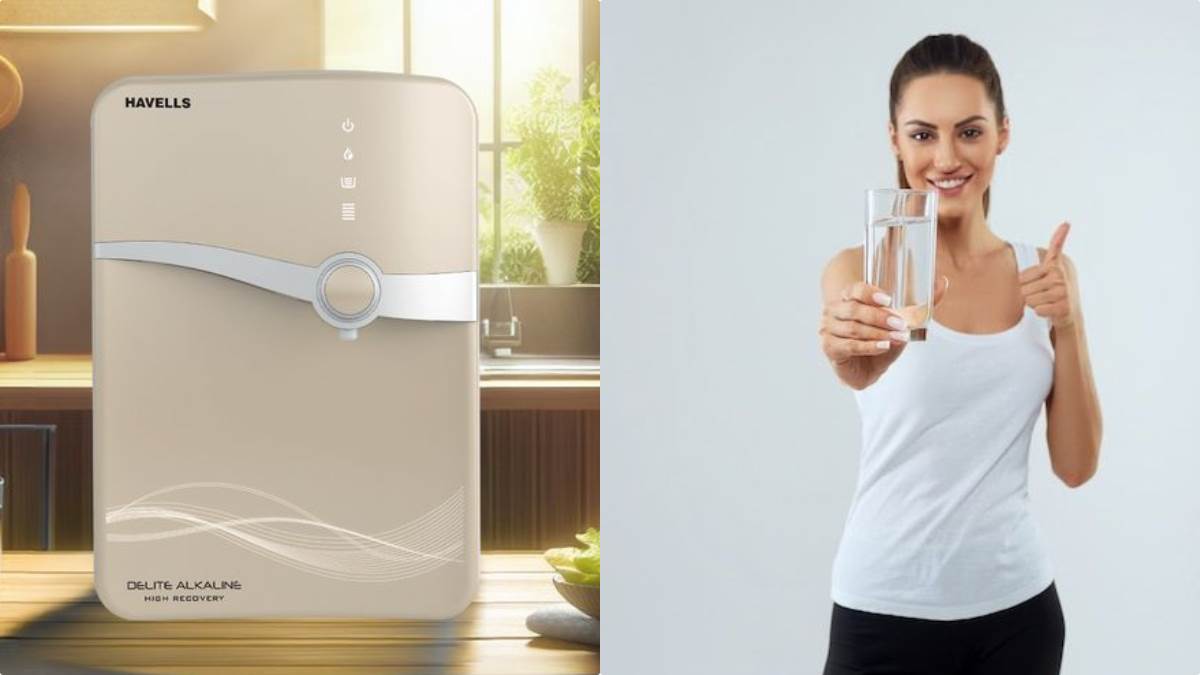 amazon great freedom festival sale 2024 deals on havells water purifier at up to 54 percent discount