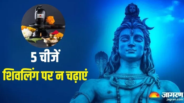 Shivling Puja Niyam: भगवान शिव को कैसे प्रसन्न करें?