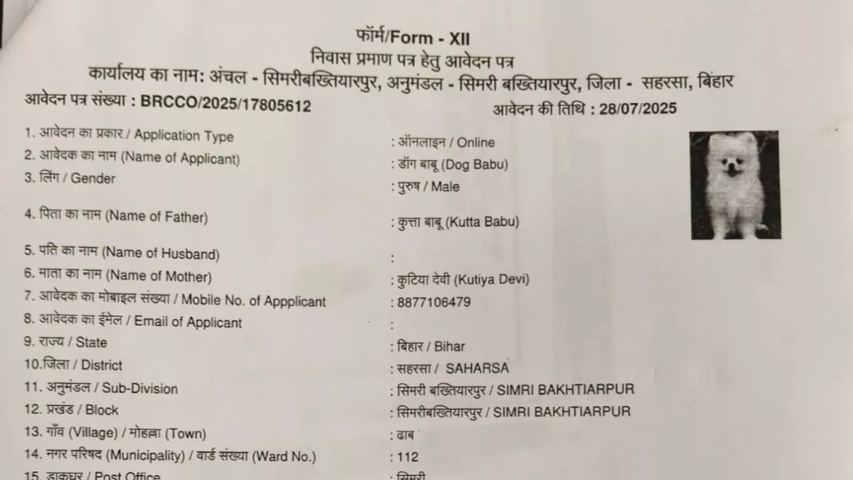 गजब बिहार; पटना के बाद अब सहरसा में भी 'डॉग बाबू' के निवास प्रमाण पत्र के लिए आवेदन, दर्ज हुई FIR