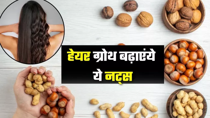 बालों को लंबा और घना बनाएंगे ये नट्स (Picture Credit- Freepik)