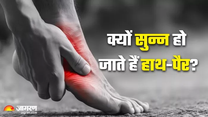 विटामिन बी12 की कमी क्या आपके हाथ-पैर भी सोते हैं? (Picture Credit- Freepik)