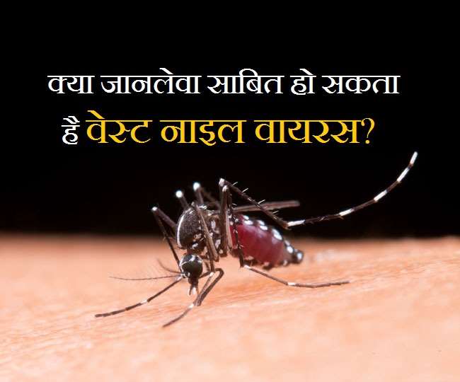 https://www.jagranimages.com/images/newimg/01092021/01_09_2021-west-nile-virus_21981213.jpg