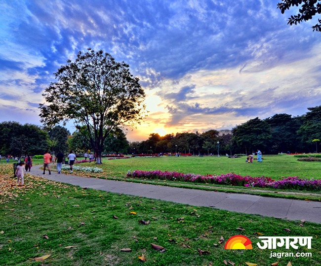 Rose Garden in Chandigarh