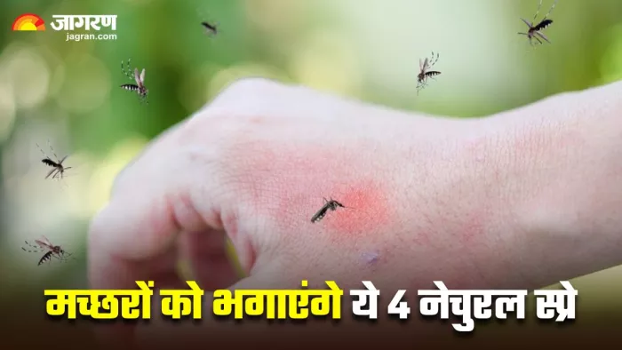 मच्छरों का सफाया कर देंगे घर पर बने ये 4 नेचुरल स्प्रे (Image Source: Freepik)