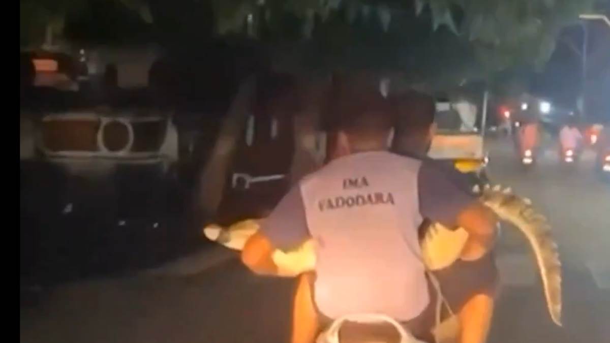 https://www.jagranimages.com/images/newimg/01092024/01_09_2024-video_23789257.jpg