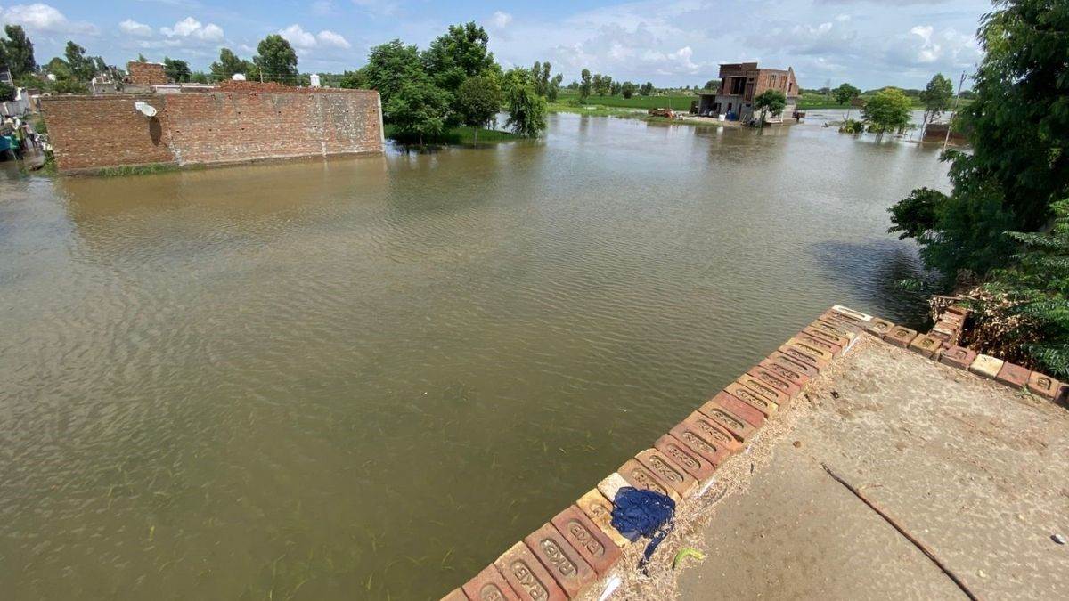 https://www.jagranimages.com/images/newimg/01092025/01_09_2025-haryana_flood_2_24032359_195538257.jpg