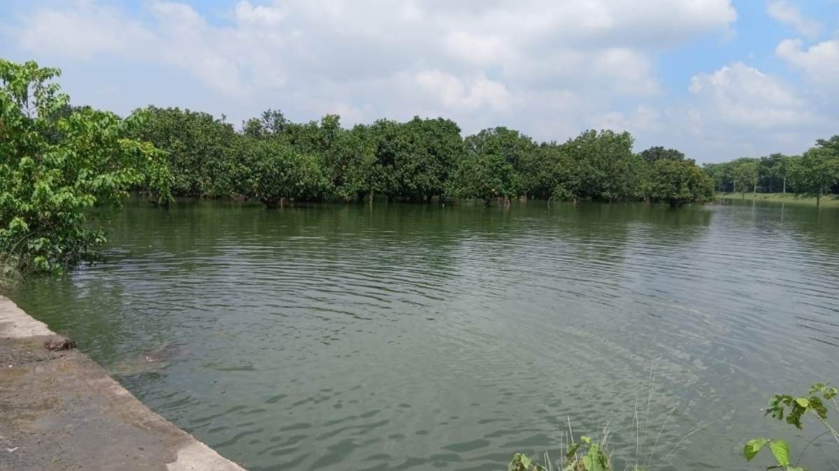 https://www.jagranimages.com/images/newimg/01092025/01_09_2025-khagaria_flood_24032145.jpg