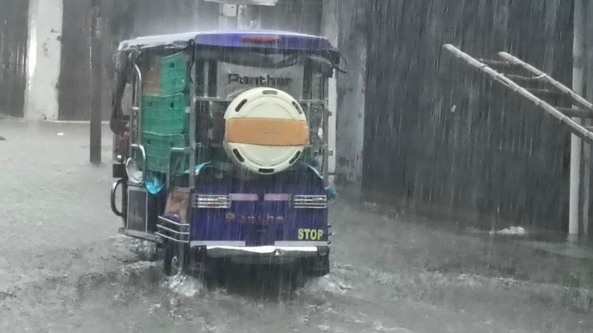 https://www.jagranimages.com/images/newimg/01092025/01_09_2025-pilibhit_rains_24031716.jpg
