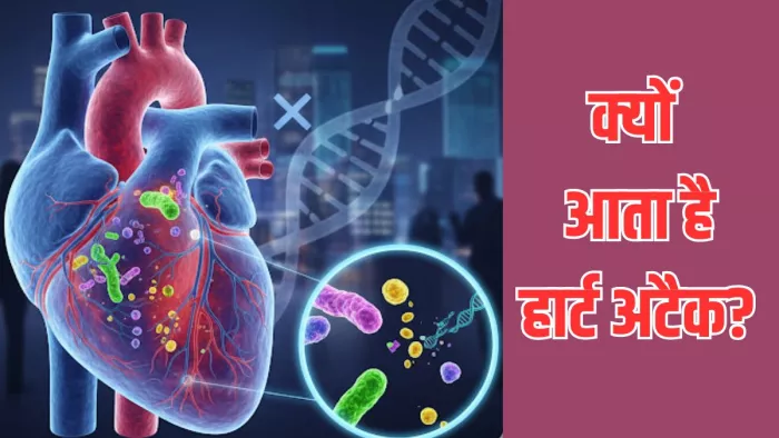 क्या है दिल का दौरा पड़ने की वजह (Image Credit- AI Generated)