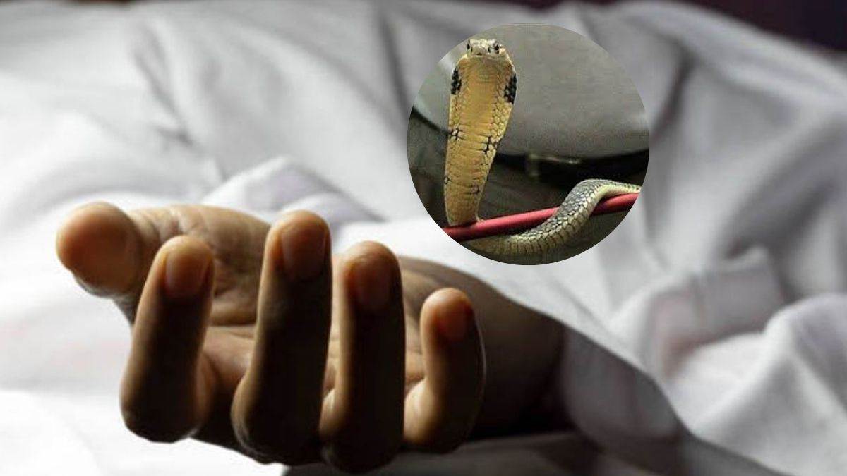https://www.jagranimages.com/images/newimg/01092025/01_09_2025-snake_2_24032391.jpg