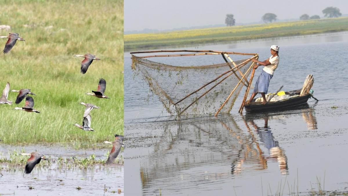 https://www.jagranimages.com/images/newimg/01092025/01_09_2025-wetland_24032399.jpg