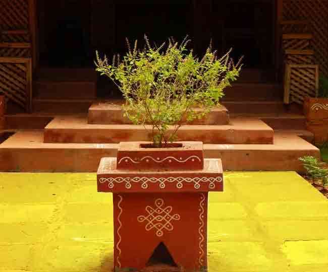 Adhik Maas Tulsi Puja Know Significance and Importance of tulsi pujan in this month