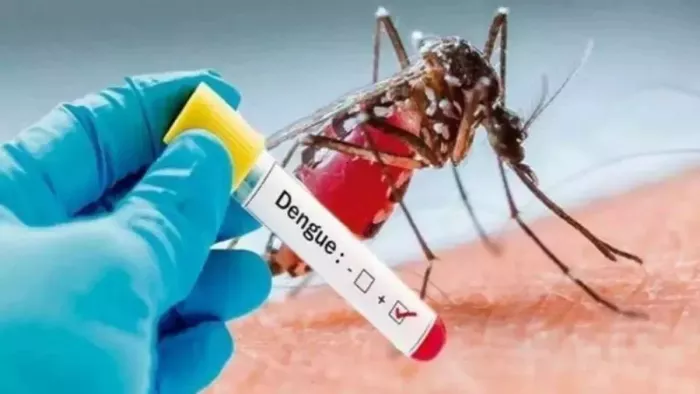 Dengue: बिहार में डेंगू के 314 नए मरीज मिले, अबतक 317 अस्पताल में हुए भर्ती; मरीजों की संख्या बढ़कर 6735