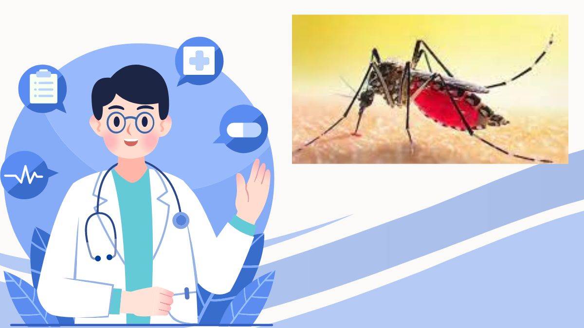 dengue patients increasing in gorakhpur due to aedes mosquito attack