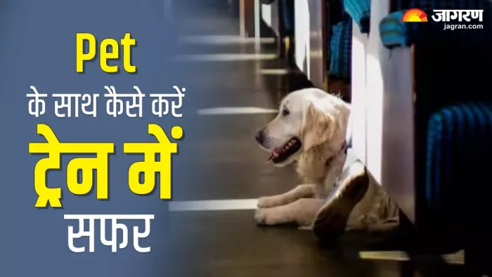 अब घर पर नहीं छोड़ना होगा Pet