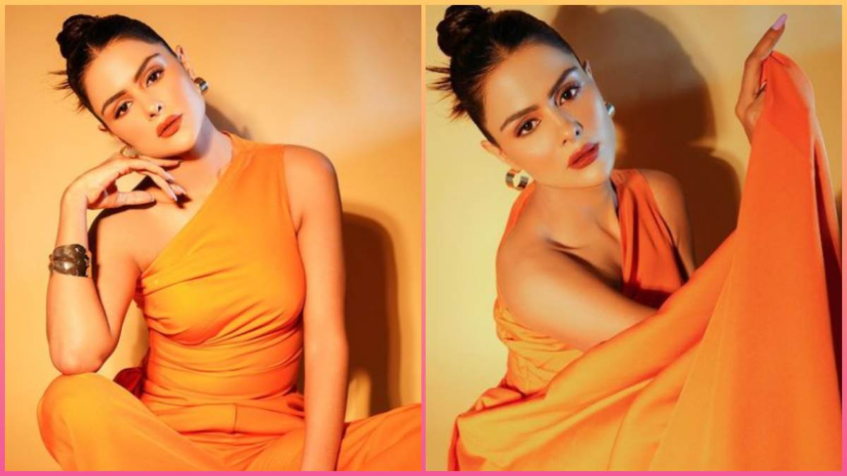 bigg boss 16 fame priyanka chahar choudhary shares latest pic in orange outfit see fans reaction