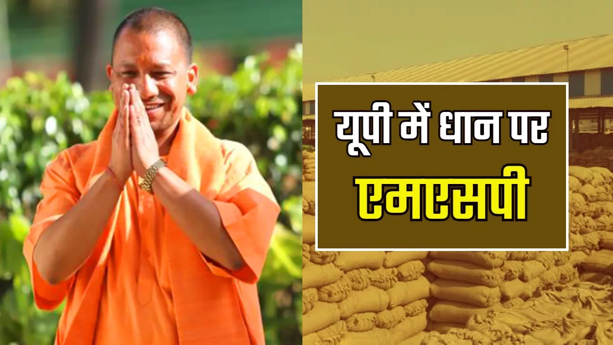 Dhan MSP in UP- किसानों के लिए अच्छी खबर- उत्तर प्रदेश में आज से धान खरीद शुरू, जानिए कितना मिल रहा एमएसपी?