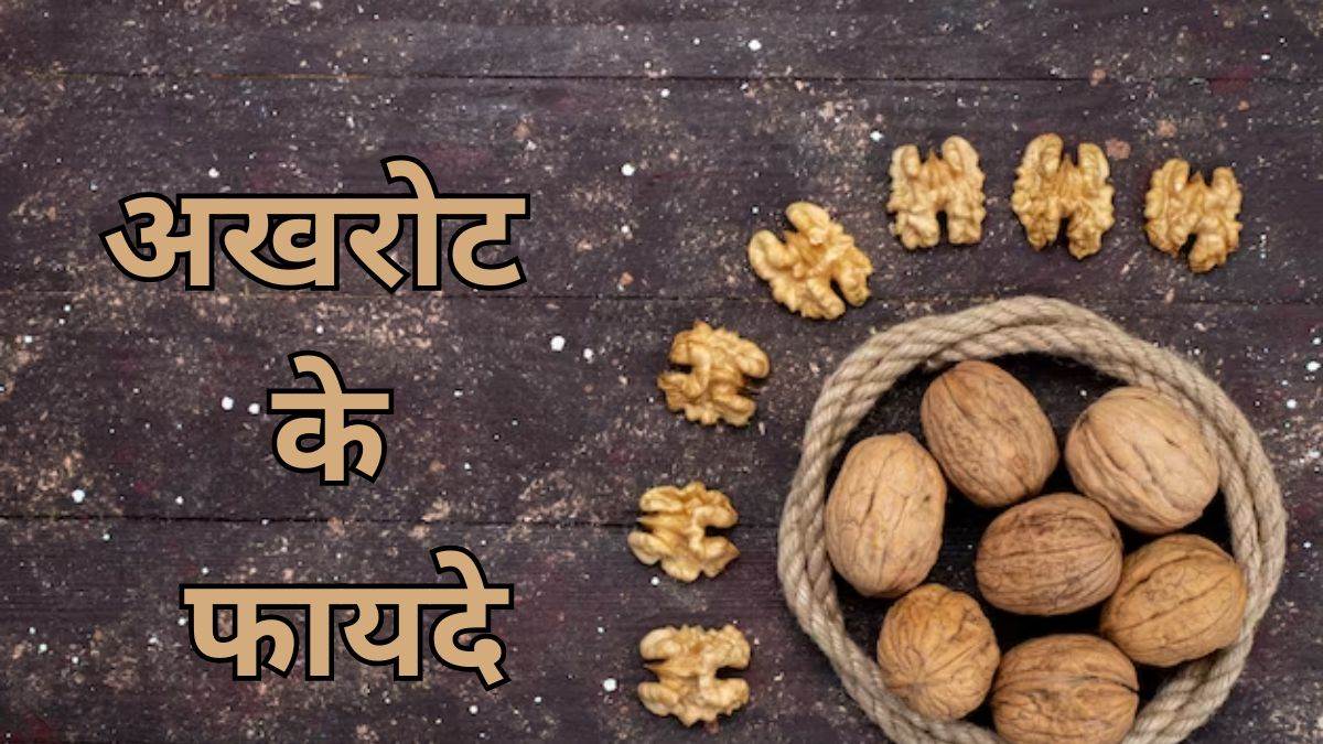 Walnuts Benefits दिलदिमाग और त्वचा के लिए बेहद गुणकारी है अखरोट