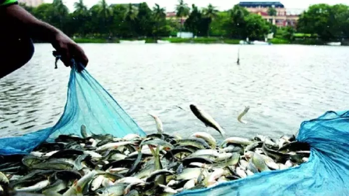 हिमाचल में मछली उत्पादन को बढ़ावा देने के लिए बनेगी नीति।