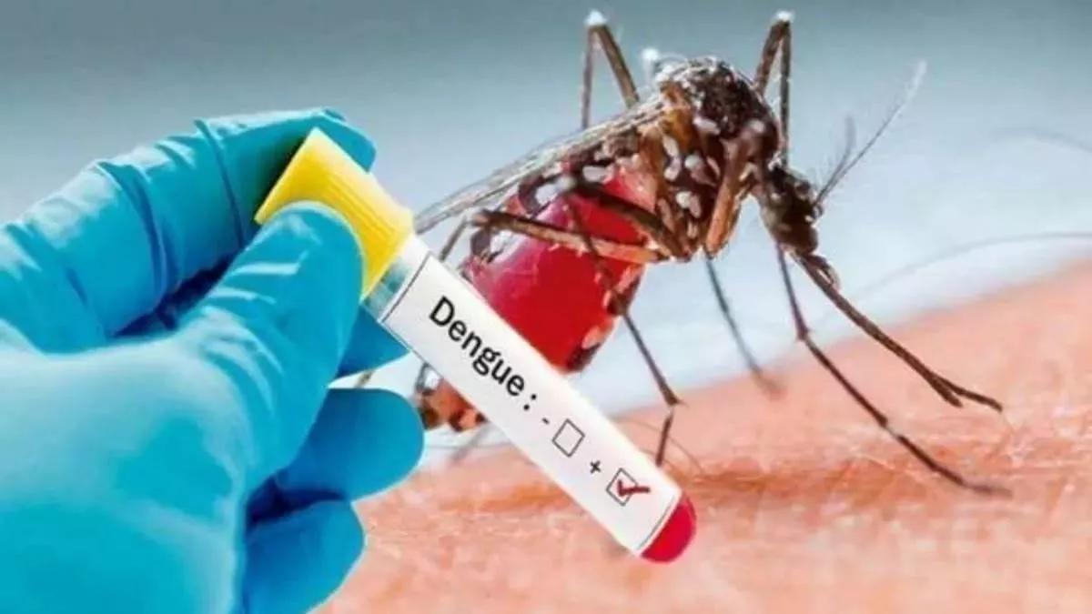 Gurugram Dengue Cases: गुरुग्राम में डेंगू से दूसरी मौत, संक्रमितों की संख्या 76 पहुंची