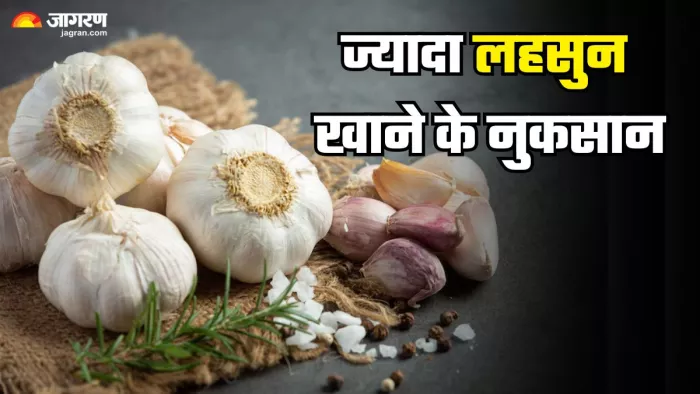ज्यादा लहसुन खाने के नुकसान (Picture Credit- Freepik)