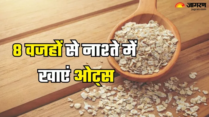 इन वजहों से रोज नाश्ते में खाएं ओट्स (Picture Credit- Freepik)