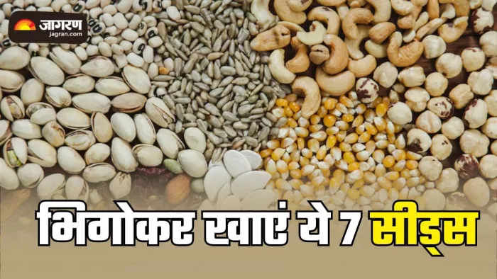 भिगोकर खाने पर ज्यादा फायदा पहुंचाते हैं ये 7 सीड्स (Picture Credit- Freepik)