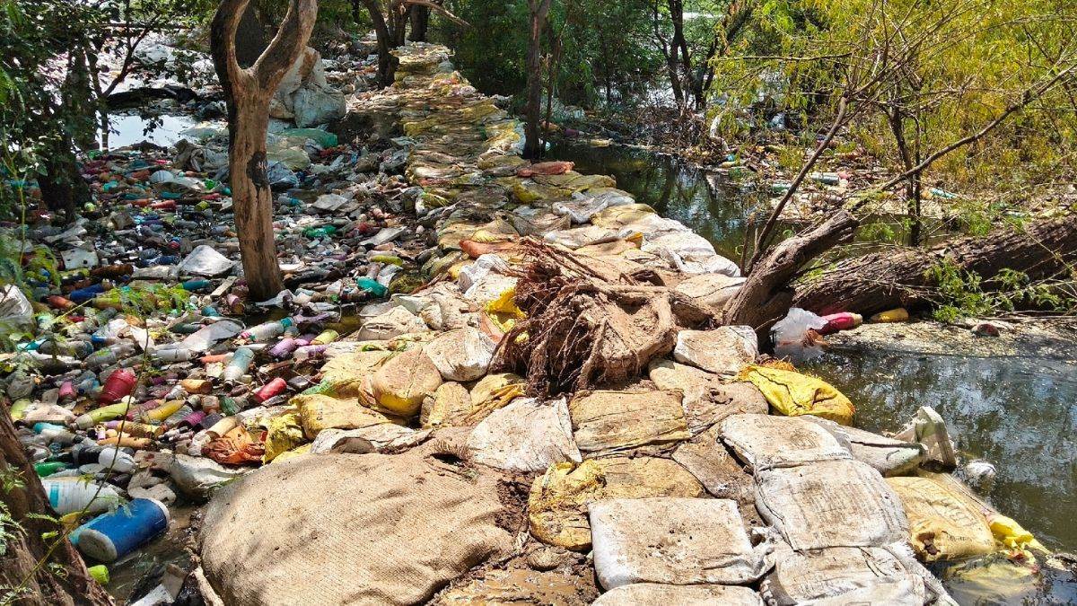 ncr mungeshpur drain illegal encroachments to be removed embankments to be raised
