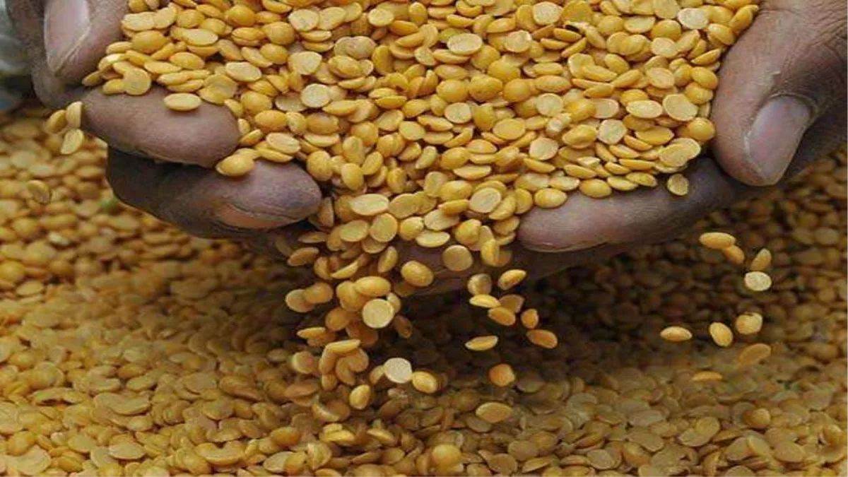 dalhan atmanirbharta mission india aims for pulses self sufficiency by2031