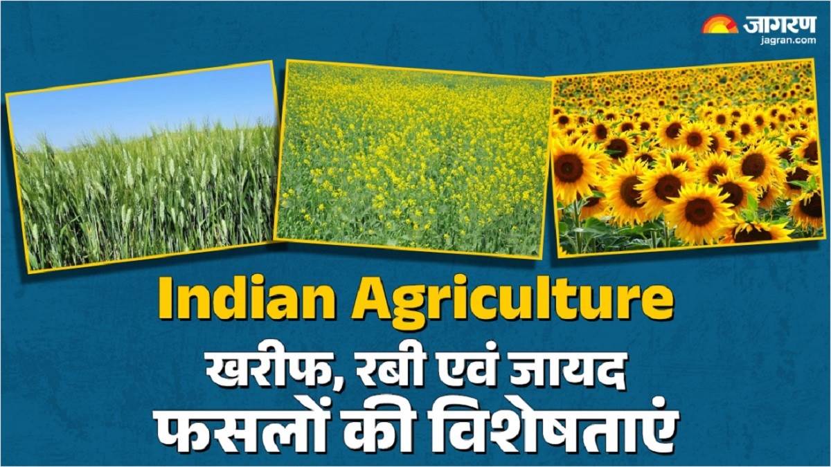 india an agricultural country has three types of crops learn about the characteristics of kharif rabi and zaid crops